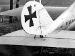 Detail tailplane. Pfalz D.III (not D.IIIa) 4082/17. Note aircraft number repeated on tailplane components (62)